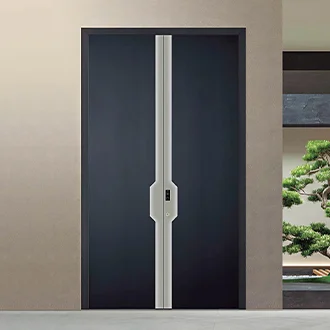 black aluminium doors